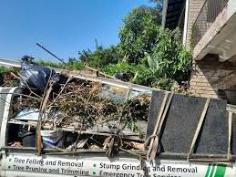 Best Yard Waste Removal  in Forest Lake, MN